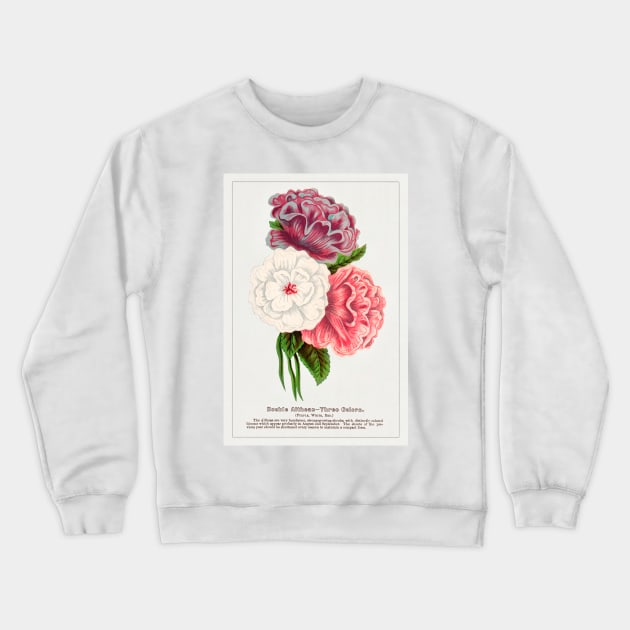 Double Althea in 3 Colors Lithograph (1900) Crewneck Sweatshirt by WAITE-SMITH VINTAGE ART